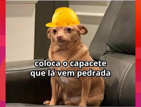 Cachorrinho de capacete amarelo